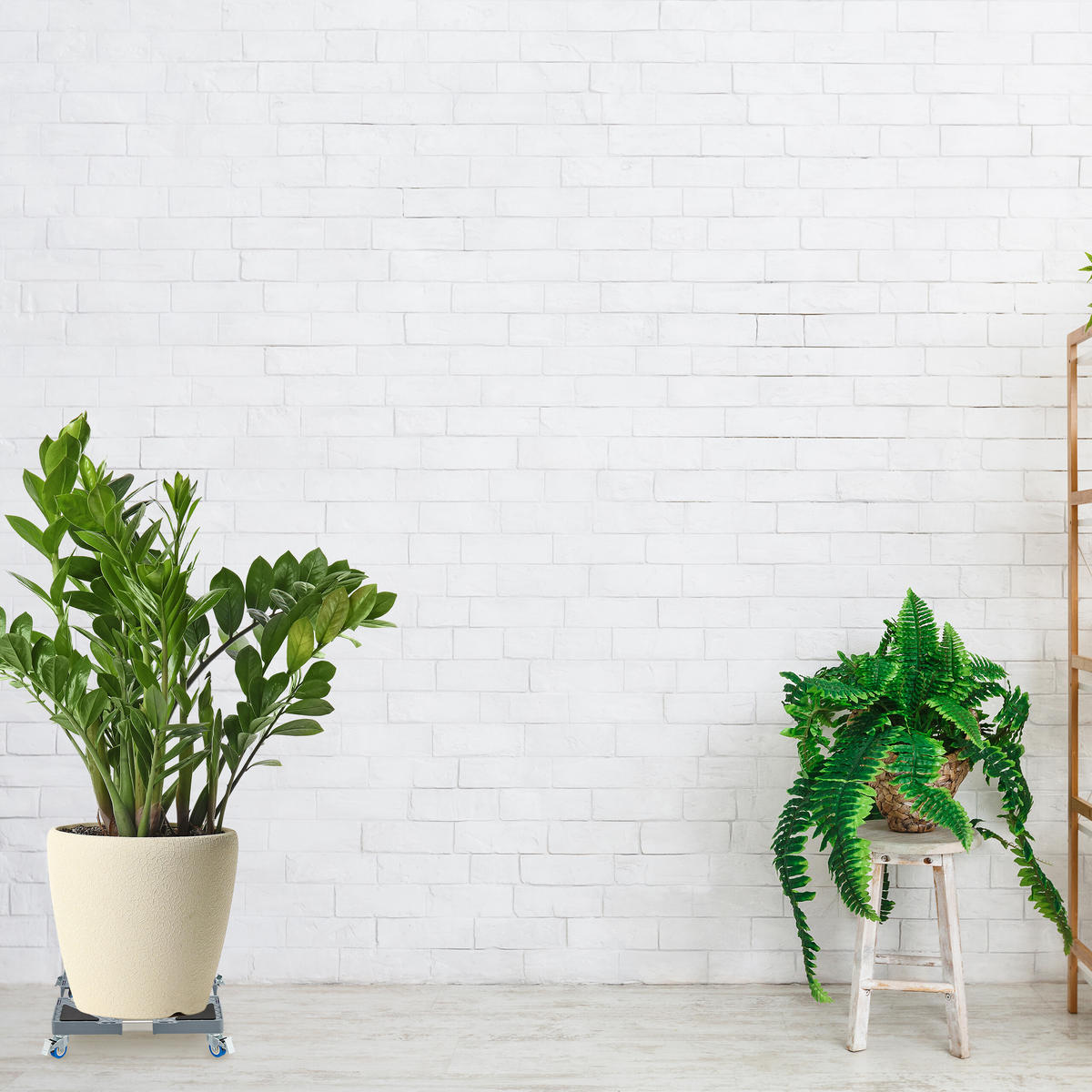 PFLANZENROLLER - Multicolor, Kunststoff/Metall (44/10.5/44cm) - Relaxdays