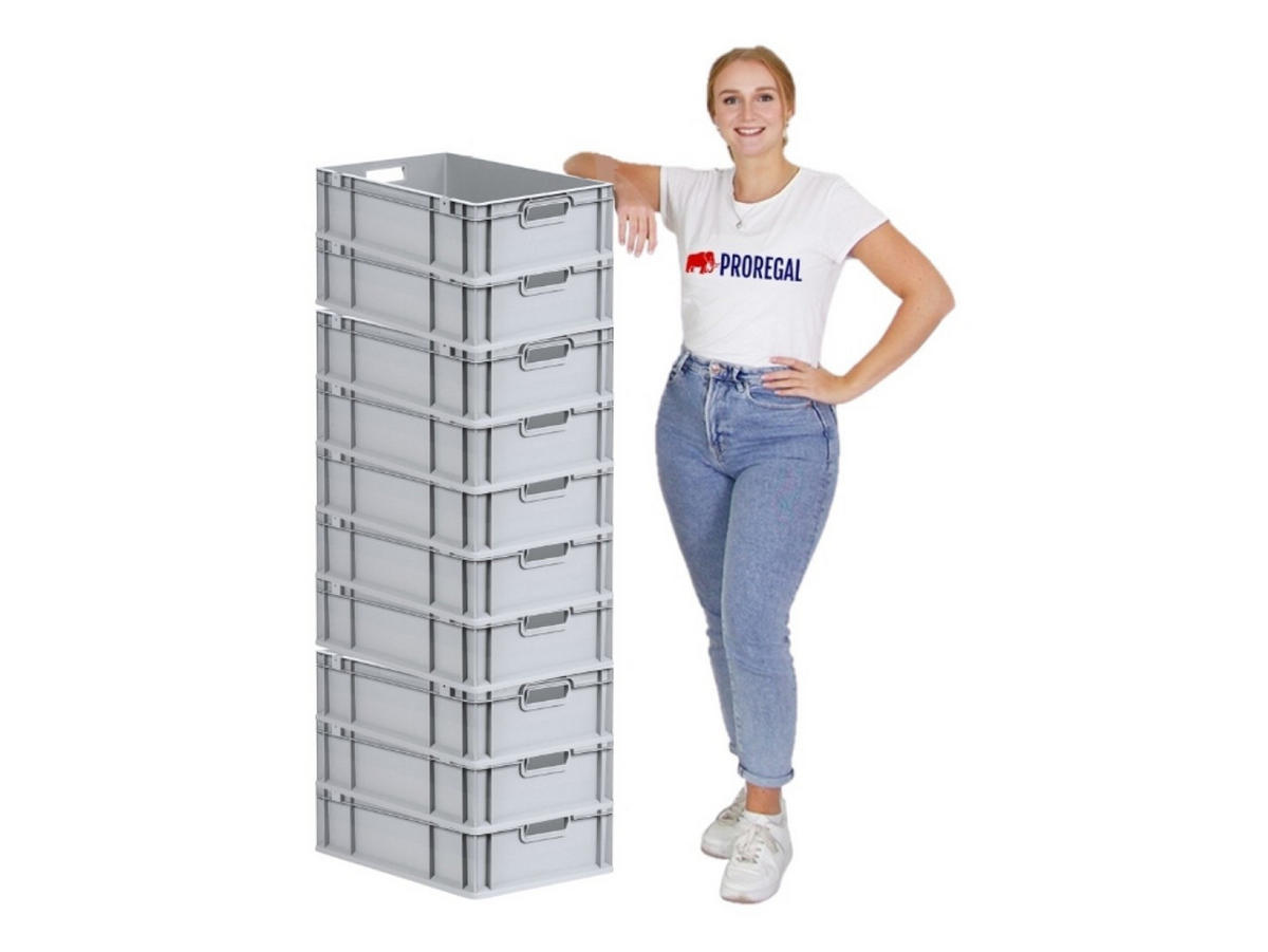 EUROBOX Nextgen Economy Griffe Offen 17x40x60cm 34 Liter - Grau, Kunststoff (40/17/60cm) - PROREGAL