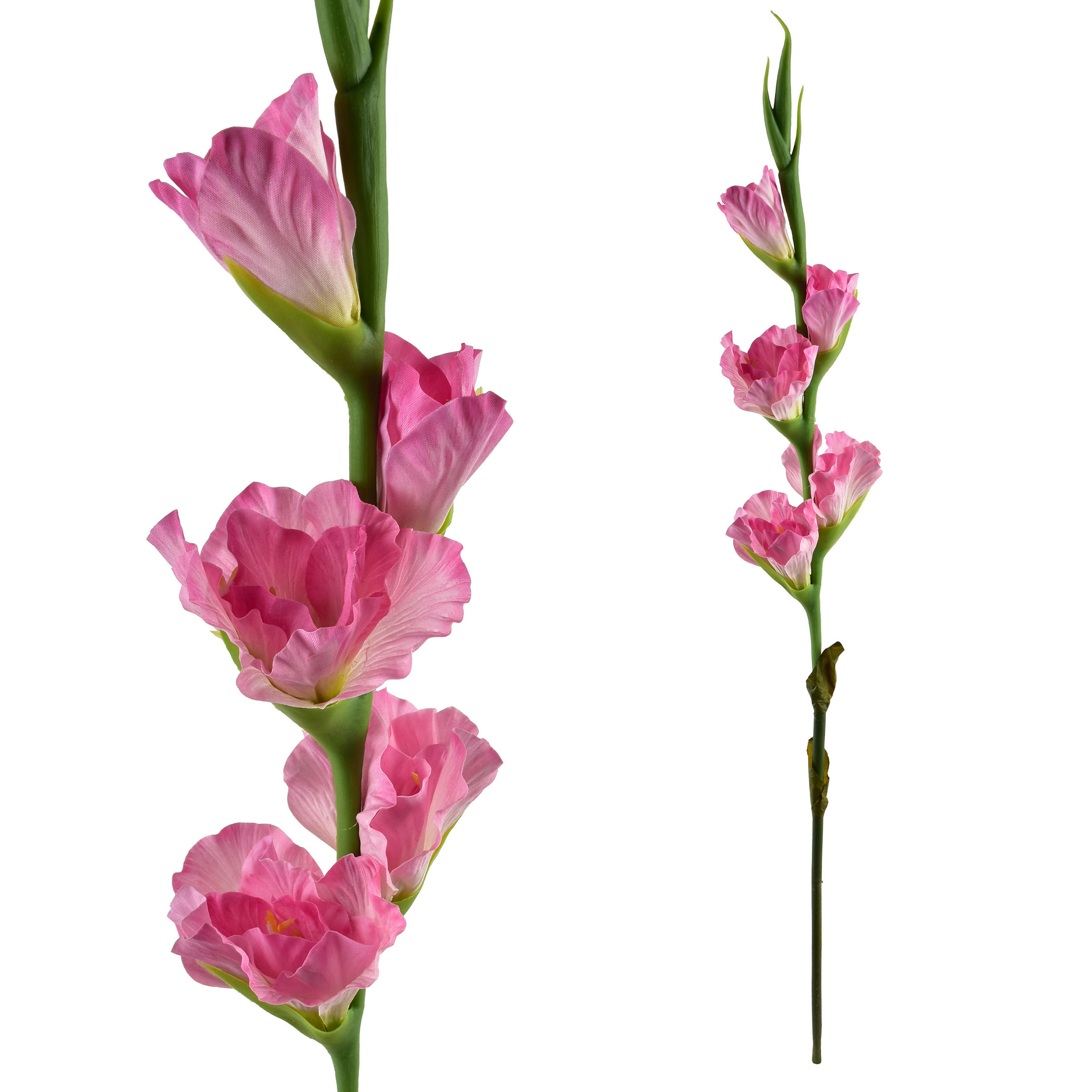 KVĚTINA, plast, starorůžová - starorůžová, plast (85cm) - Mondex