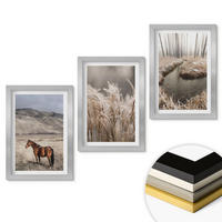 WANDBILDER 3er Set - 20x30 cm Silberner Rahmen - Pferde, Landschaft, Gras, Bach - Silberfarben, Kunststoff (20/30cm) - ArtPrintCave