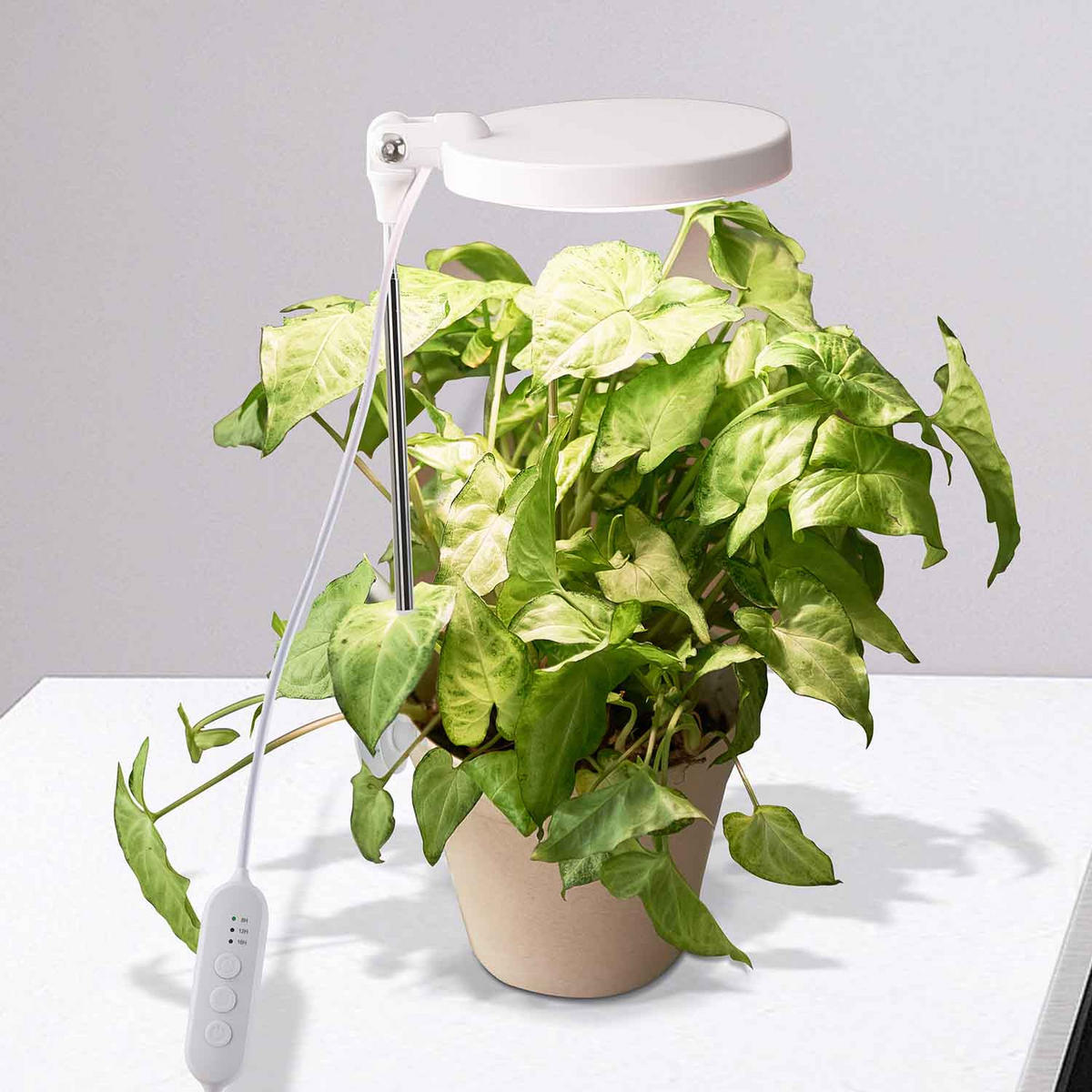 LED-PFLANZENLEUCHTE - dimmbar mit Timerfunktion und Klipphalterung für Töpfe, USB-betrieben - Weiß, Kunststoff (10/79.3/10cm) - Northpoint