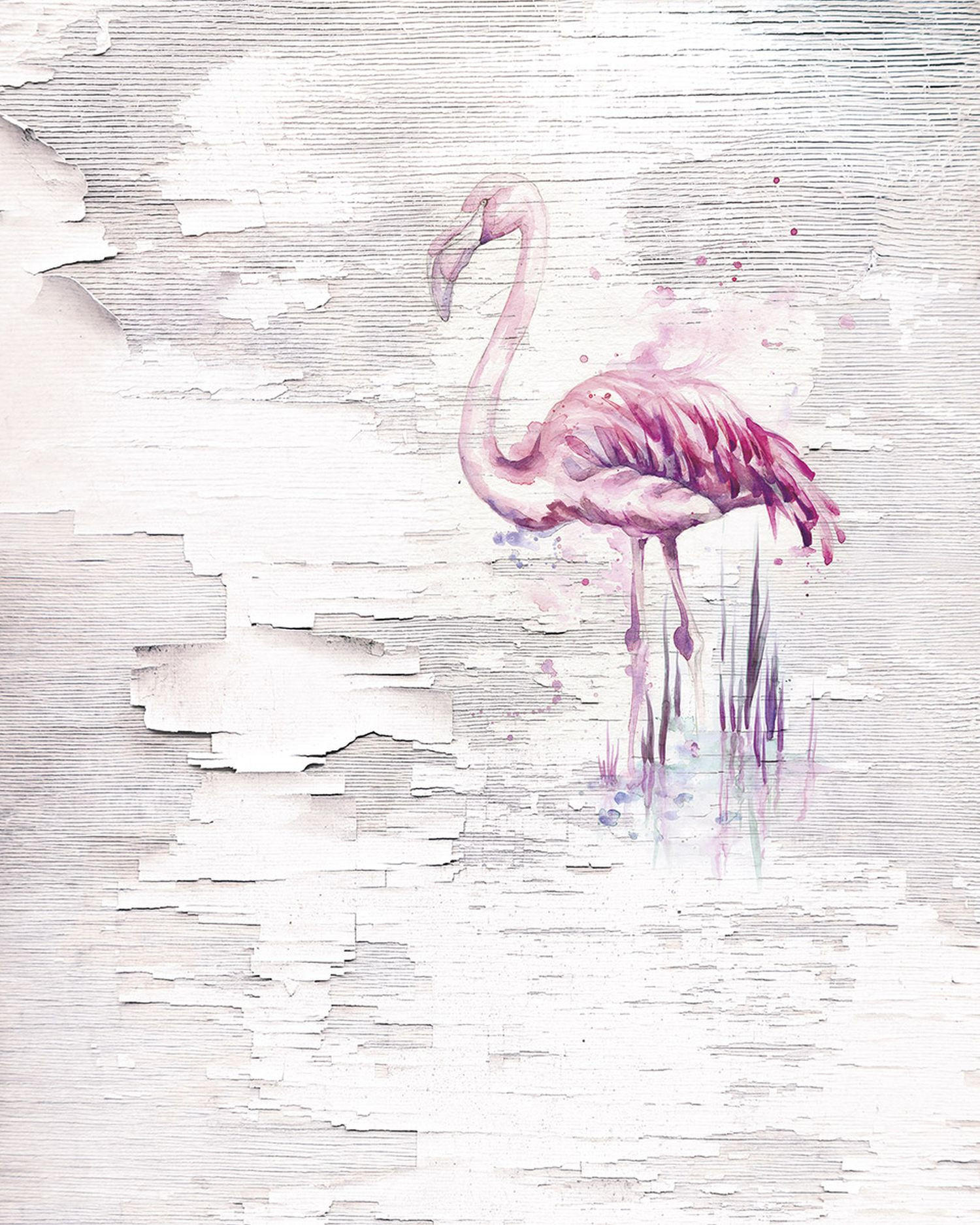 FOTOTAPETE Flamingos 200 x 250 cm - Weiß, Papier (200/250cm) - Sanders & Sanders