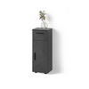 MIDISCHRANK Ronco Anthrazit Hochglanz 30 x 81 cm - Anthrazit/Grau, Holzwerkstoff (30/81/30cm) - Livinity®