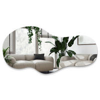 WANDSPIEGEL 50x100 cm asymmetrisch - Transparent, Glas (50/100/0.4cm) - ArtPrintCave