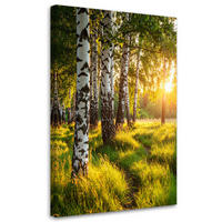 LEINWANDBILD Birkenwald Natur Landschaft 80x120cm - Grün, Textil (80/120cm) - Feeby