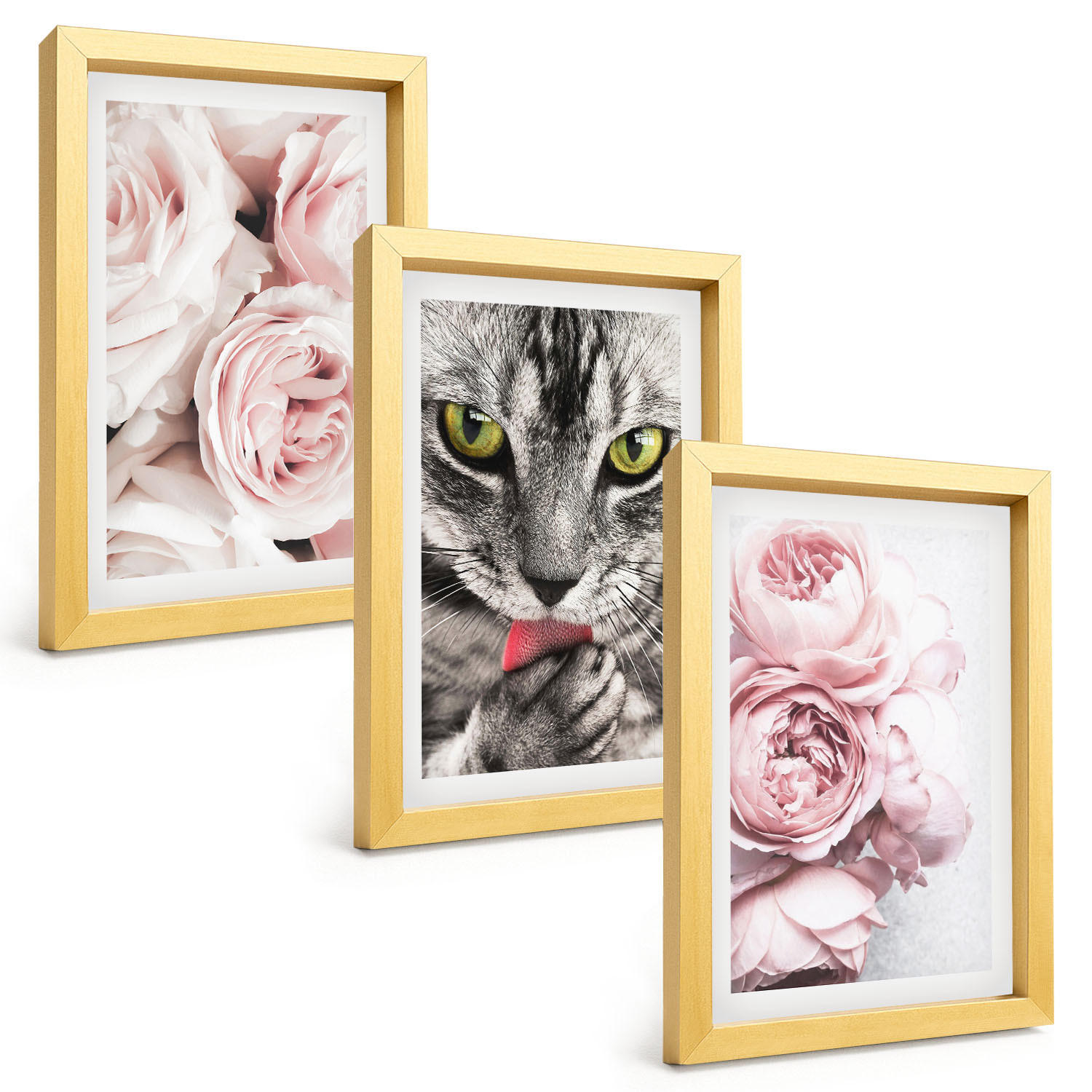 BILDER SET 3er Set - 20x30 cm Goldrahmen - Katze in rosa Blumen - Goldfarben, Kunststoff (20/30cm) - TULUP