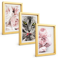 BILDER SET 3er Set - 20x30 cm Goldrahmen - Katze in rosa Blumen - Goldfarben, Kunststoff (20/30cm) - TULUP