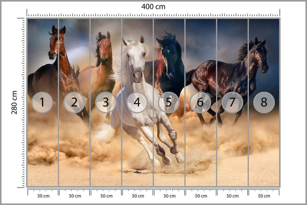 FOTOTAPETE für Schlafzimmer Galoppierende Pferde Wüste Herde 400x280 - Beige/Orange, Papier (400/280cm) - Muralo
