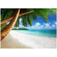 FOTOTAPETE Strand Meer 350x250 - Multicolor, Papier (350/250cm) - Wallarena