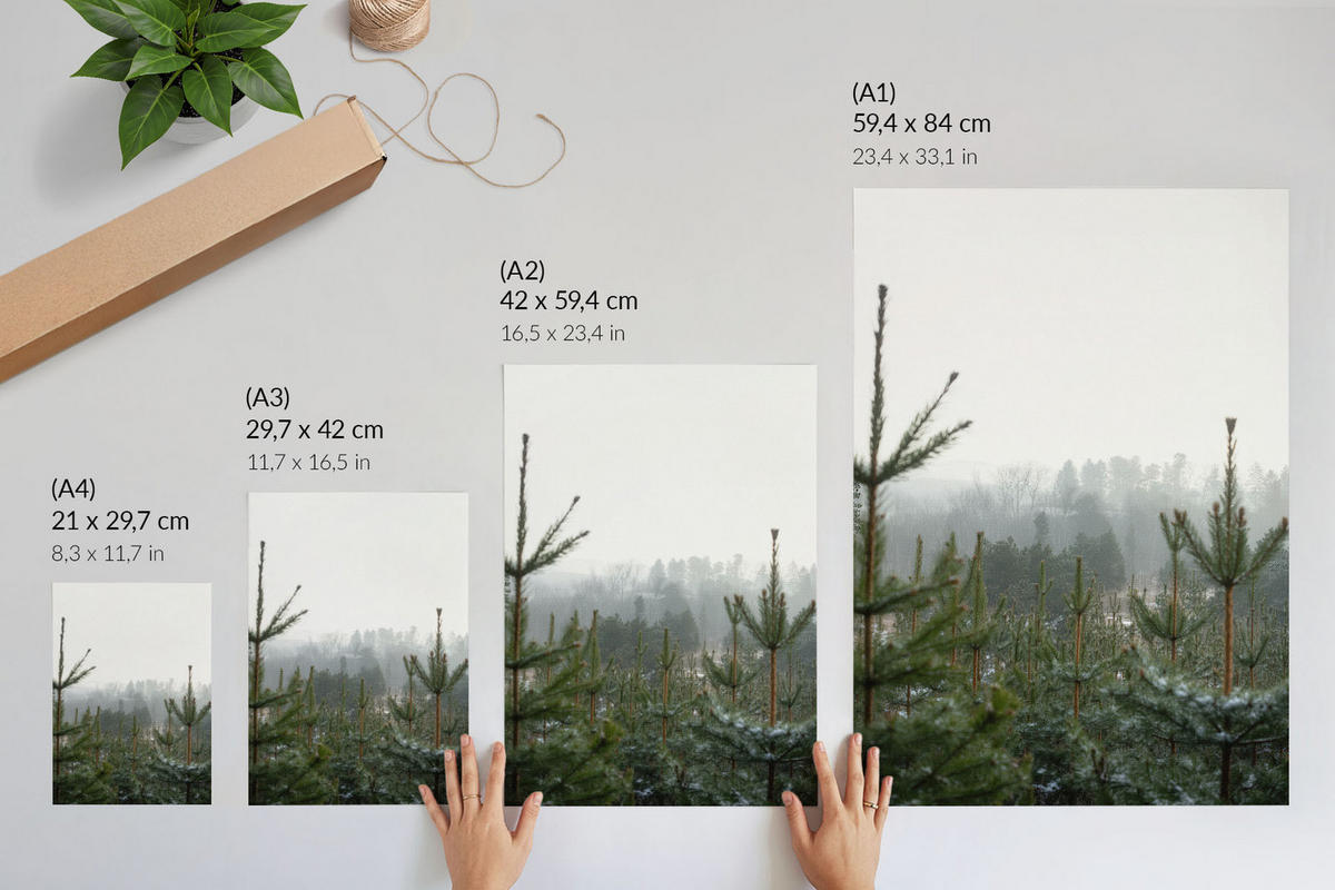 POSTER - 29x42 cm - digitalPhoto - Grüne Nadelbäume - Grün, Textil (29/42/0.1cm) - TULUP