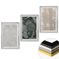 WANDBILDER 3er Set - 40x60 cm Silberner Rahmen - Sommerliche tropische Texturen - Silberfarben, Kunststoff (40/60cm) - ArtPrintCave
