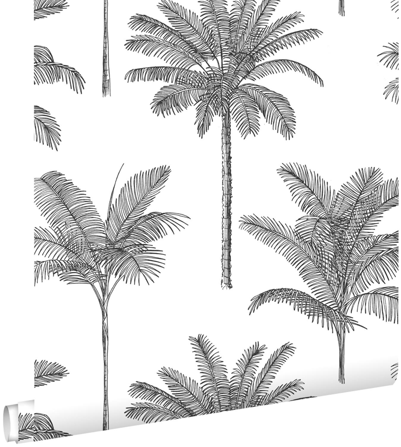 TAPETE Palmen 53 cm x 10.05 m - Weiß, Papier (53/1000cm) - ESTAhome