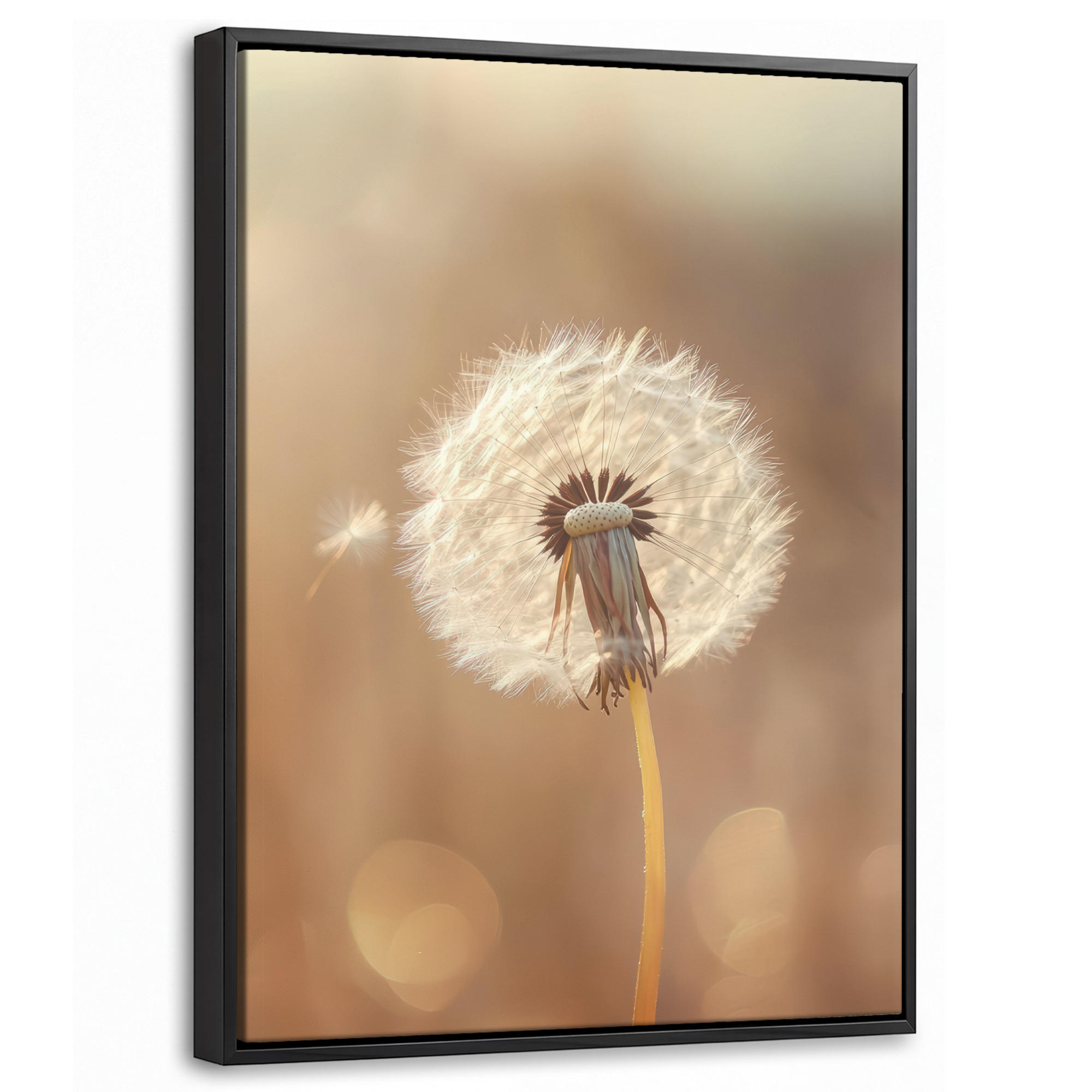 MuchoWow Leinwand Hellbraun 30x40 cm