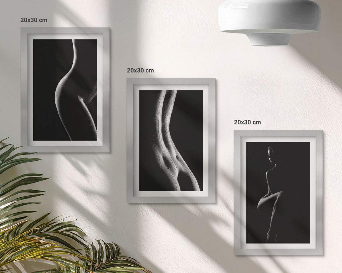 BILDER SET 3er Set - 20x30 cm Silberner Rahmen - Schwarz-weiße weibliche Silhouetten - Silberfarben, Kunststoff (20/30cm) - TULUP