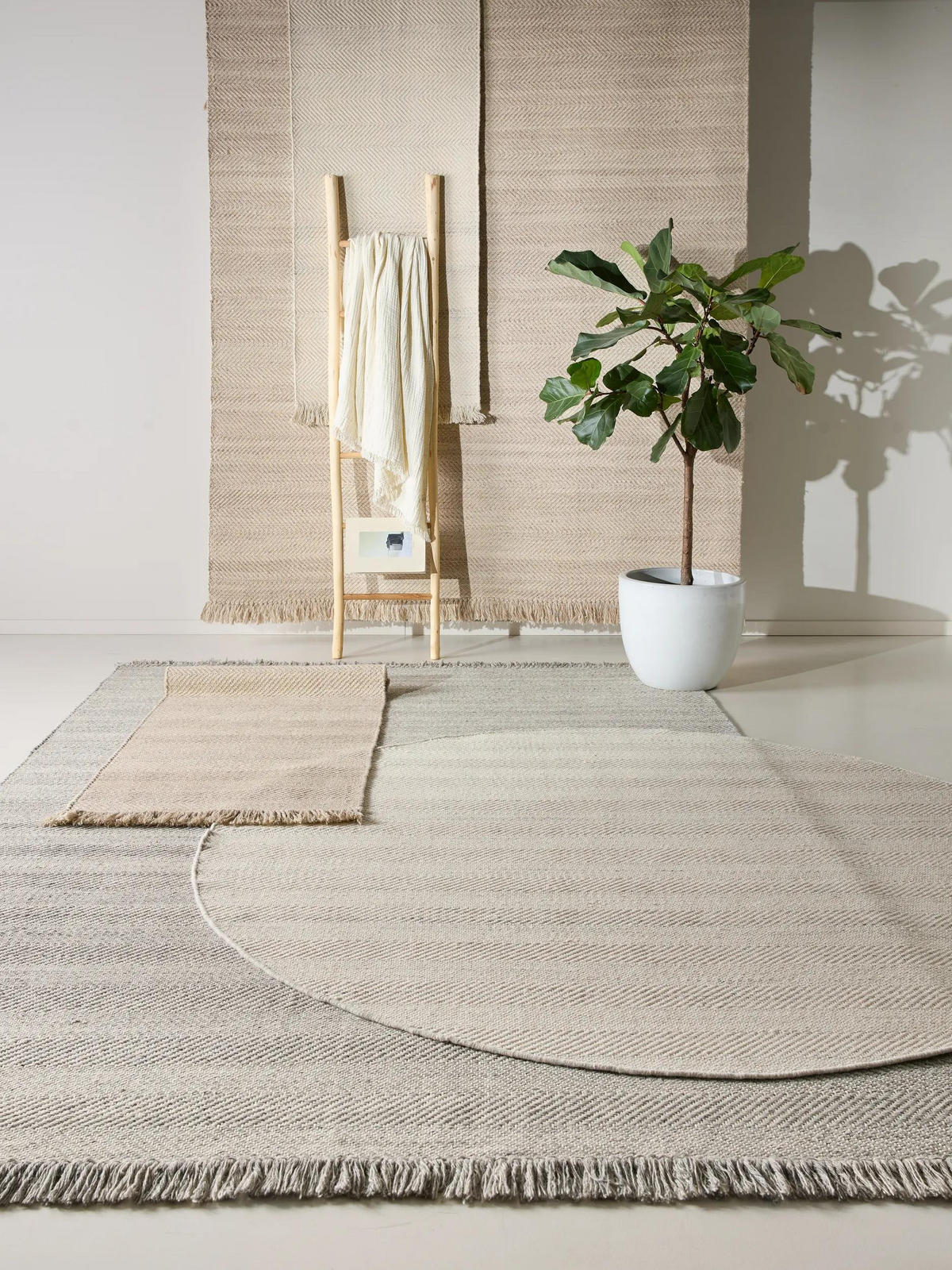WOLLTEPPICH Lars Beige 160x230 cm - Beige, Textil (160/230cm) - benuta Pure