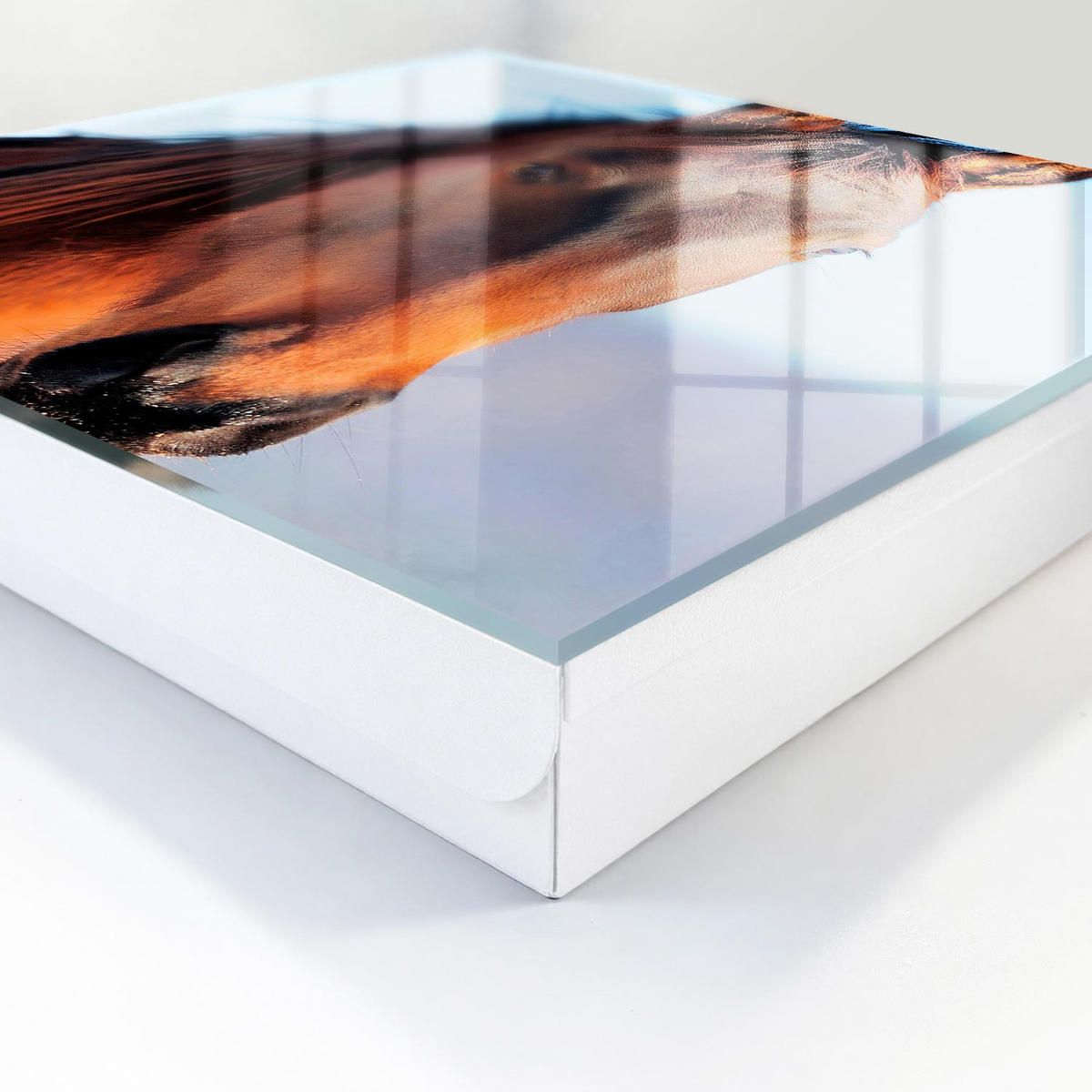 SCHLÜSSELBOX Weiß 30x30 cm – Türöffnung nach rechts - Porträt eines Pferdes - Braun, Metall (30/30/5cm) - TULUP