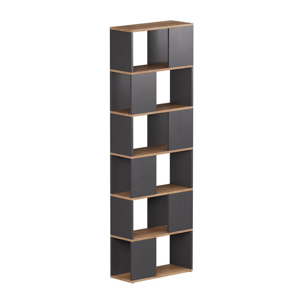RAUMTEILER Eneos Anthrazit/Goldkraft Eiche 60 x 186 cm - Honigeiche/Anthrazit, Holzwerkstoff (60/186/24cm) - Vicco