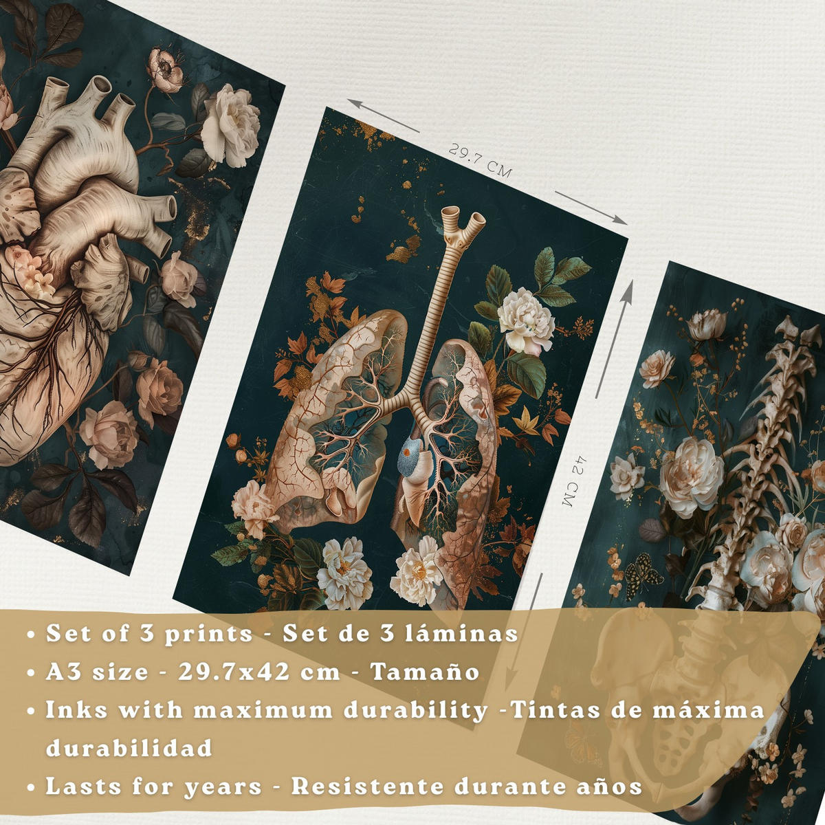 POSTER Set aus 3 Anatomie Mensch Drucke und Wandbilder mit Herz Atmungssystem und Skelett Botanischer Stil Wanddekoration Größe Weißer Rahmen A3 - Weiß, Papier (29.7/42/3cm) - Nacnic