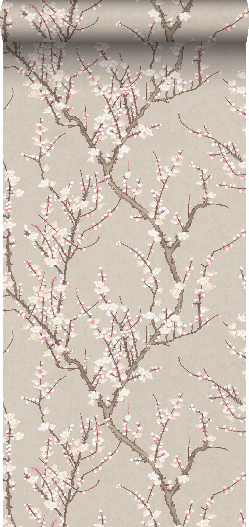 TAPETE Blüte 53 cm x 10 m - Beige, Papier (53/1000cm) - Sanders & Sanders