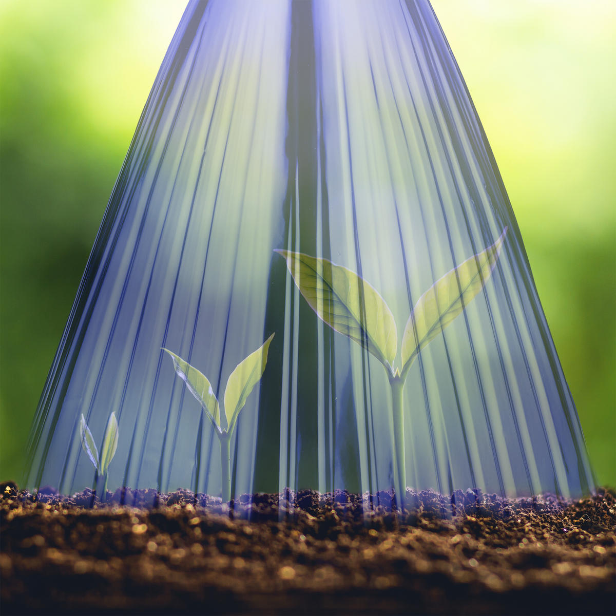 32XPFLANZENHUT - Lila, Kunststoff (19/22/19cm) - Relaxdays