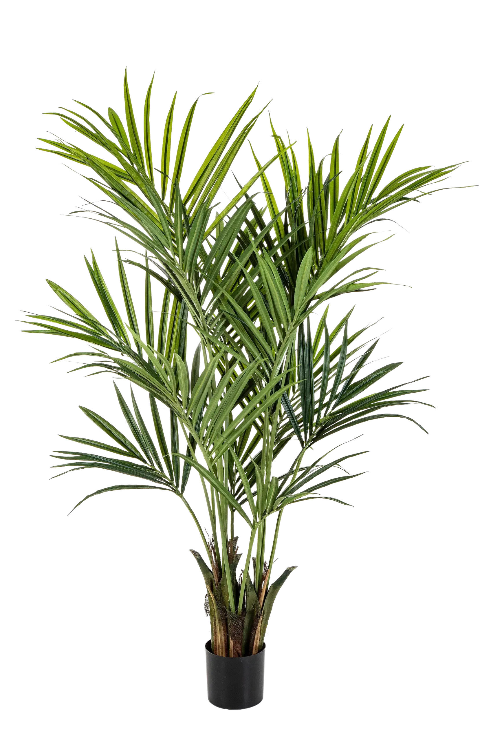 aplanta Künstliche Grün 172 cm