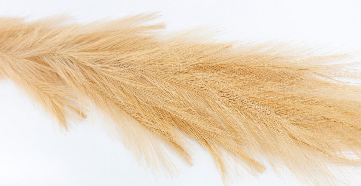 ZIERFEDER Sand 170 cm - Naturfarben, Textil (0.01/170/0.01cm) - FURNARO