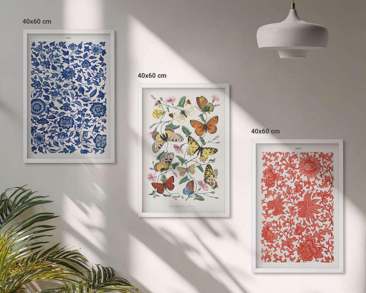 BILDER SET 3er Set - 40x60 cm Weißer Rahmen - Vintage-Blumen-Schmetterlings-Ornamente - Weiß, Kunststoff (40/60cm) - TULUP