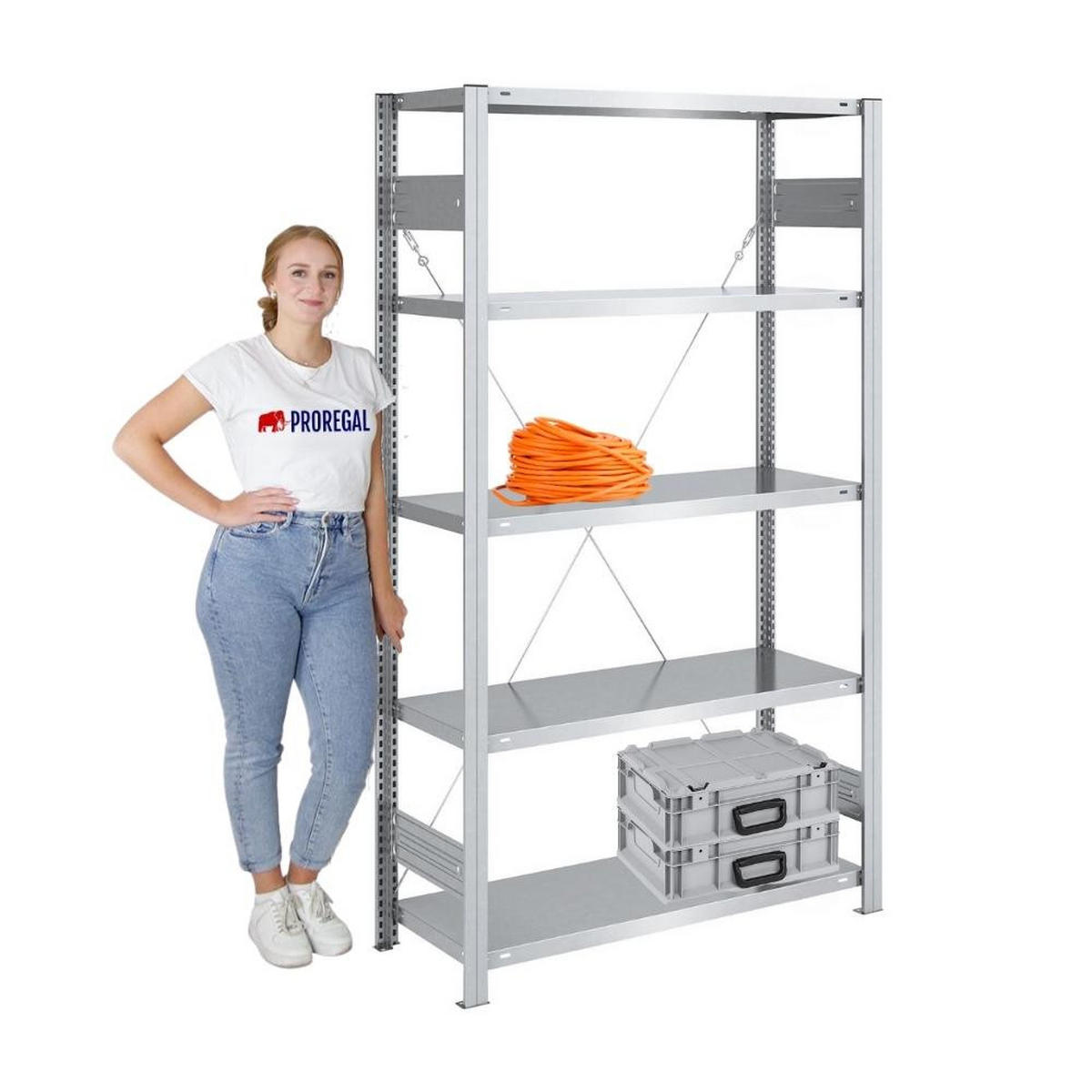 SCHWERLASTREGAL Silver Mamba 200x100x40cm 5 Ebenen je 150kg Fachlast Verzinkt - Silberfarben, Metall (100/200/40cm) - PROREGAL