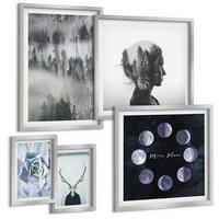 BILDER SET 5er Set - 50x50 cm & 20x30 cm & 40x60 cm Silberner Rahmen - Waldnebel, Mond, Schädel, Frau - Silberfarben, Kunststoff (40/60cm) - TULUP