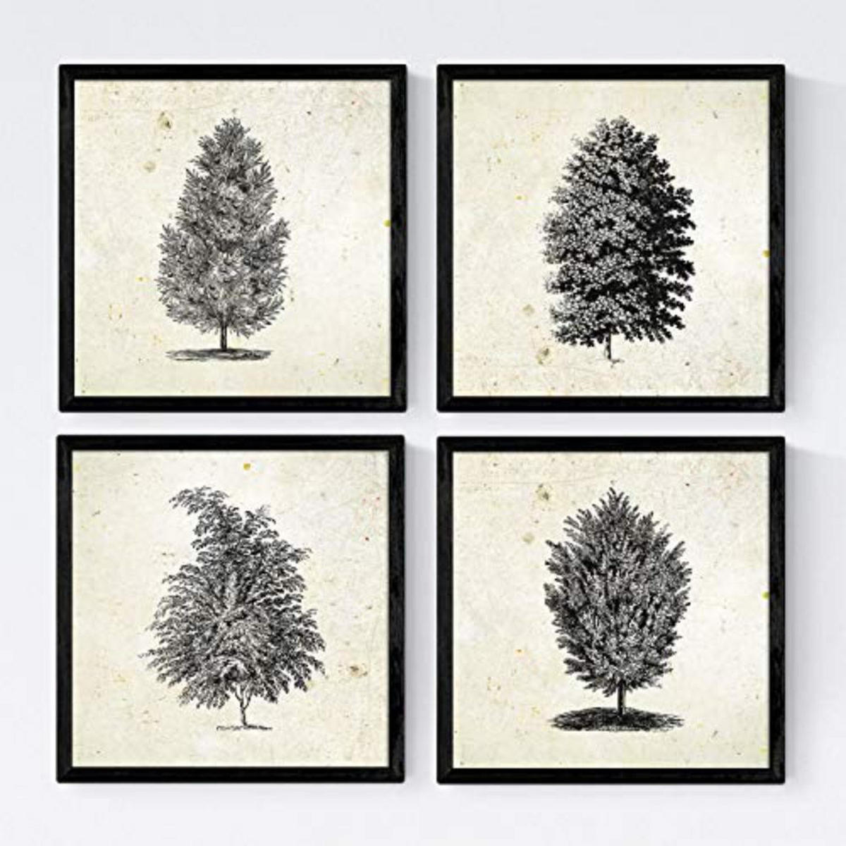 POSTER Set mit 4 Blättern der Bäume Sehr fondosos Jahrgang Hintergrund 20x20cm Rahmenlos - Klar, Papier (20/3cm) - Nacnic
