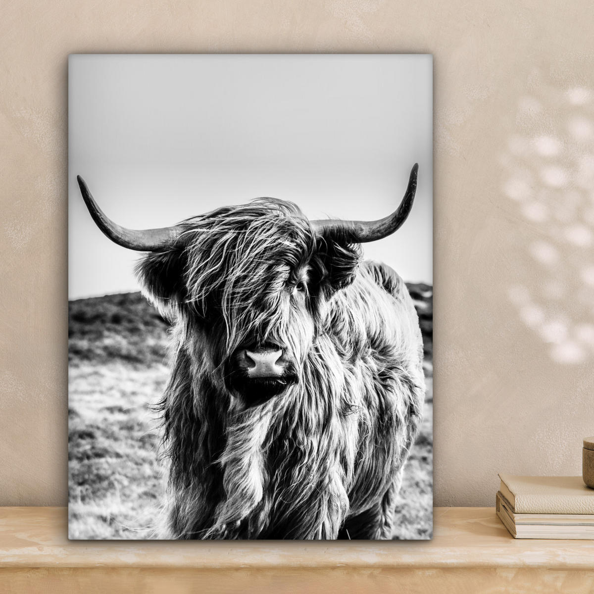 LEINWANDBILD Kuh - Schottischer Hochländer - Schwarz - Weiß - Tier - Natur - Wildtiere 30x40 cm - Schwarz, Textil (30/40cm) - MuchoWow