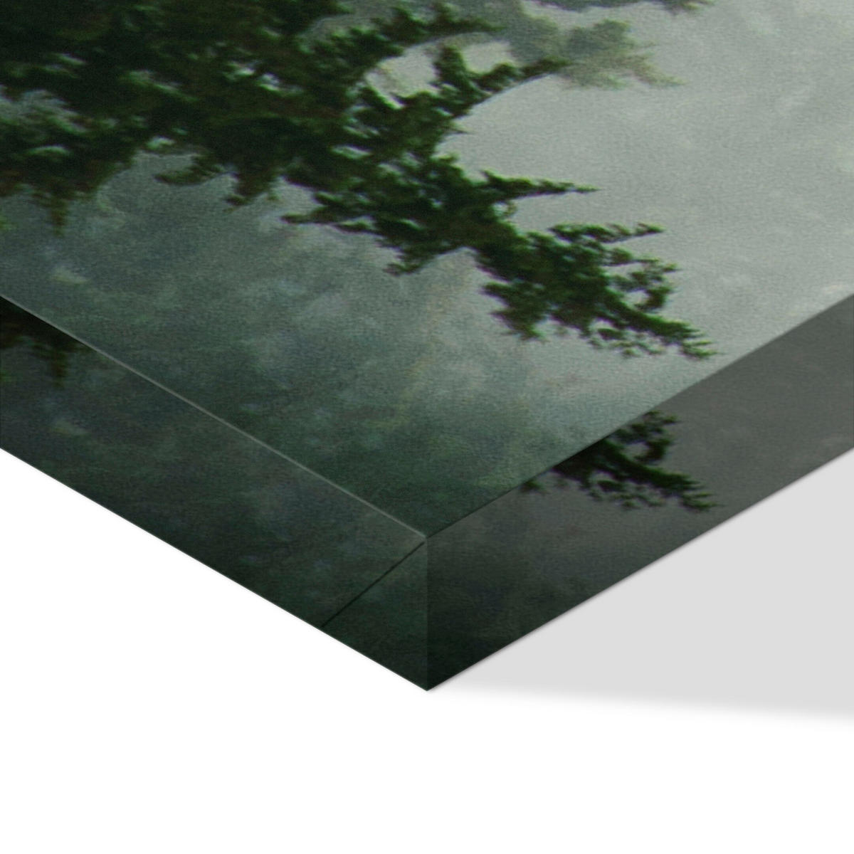 LEINWANDBILD Wald 5-tlg. 150x75 cm - Multicolor, Holz (150/75cm) - LUMASOUL