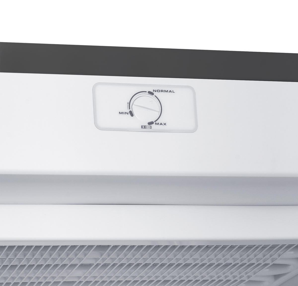 GEFRIERSCHRANK FS1682E-S groß - 168L Nutzinhalt, 4-Sterne Gefrieren, Freezer, leise 37 dB, silber - Silberfarben, Kunststoff/Metall (54.5/142.5/57.5cm) - homeX