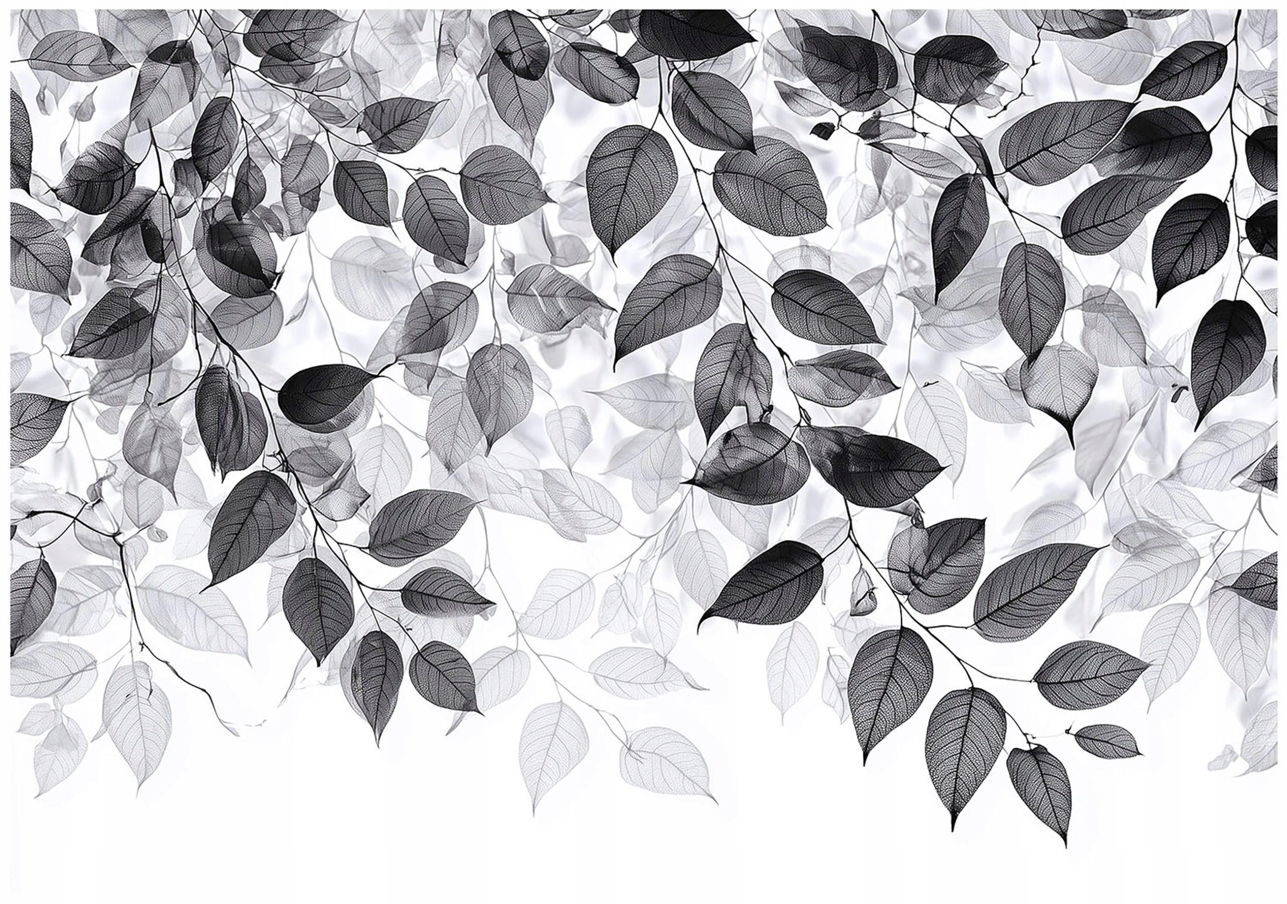 FOTOTAPETE Blätter Schwarz Weiß Wohnzimmer 250x175 - Multicolor, Papier (250/175cm) - Wallarena