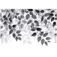 FOTOTAPETE Blätter Schwarz Weiß Wohnzimmer 250x175 - Multicolor, Papier (250/175cm) - Wallarena