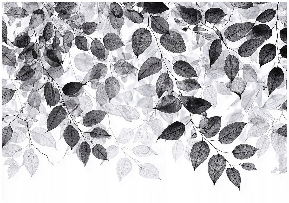 FOTOTAPETE Blätter Schwarz Weiß Wohnzimmer 250x175 - Multicolor, Papier (250/175cm) - Wallarena