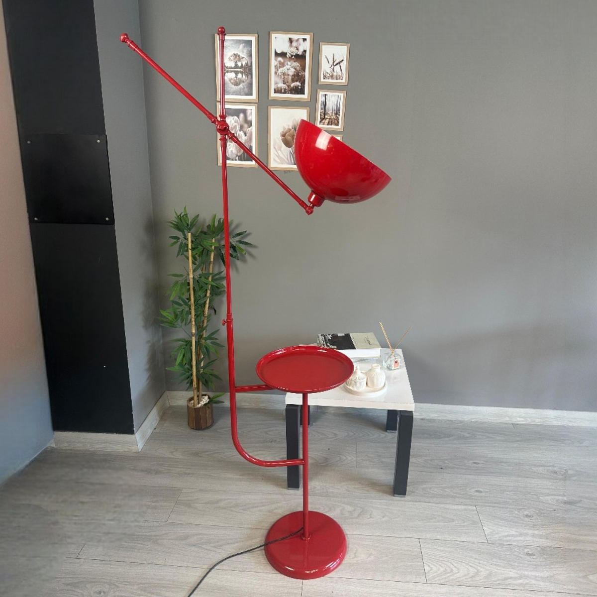 STEHLAMPE Raxon 165 Cm - Rot, Metall (30/30/165cm) - Bamyum