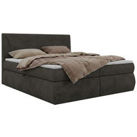POSTEL BOXSPRING TARENZA 140/200 - Tmavě šedá Samet - Topper T25 - H3 - černá/tmavě šedá, textil/plast (140/200cm) - MKS