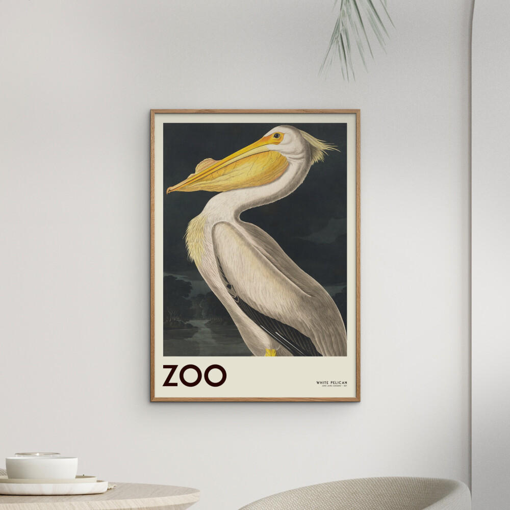 POSTER A.P. Atelier - The Zoo Collection — White Pelican — Edt. 001 - Weiß, Papier (50/70/0.1cm) - Poster&Frame