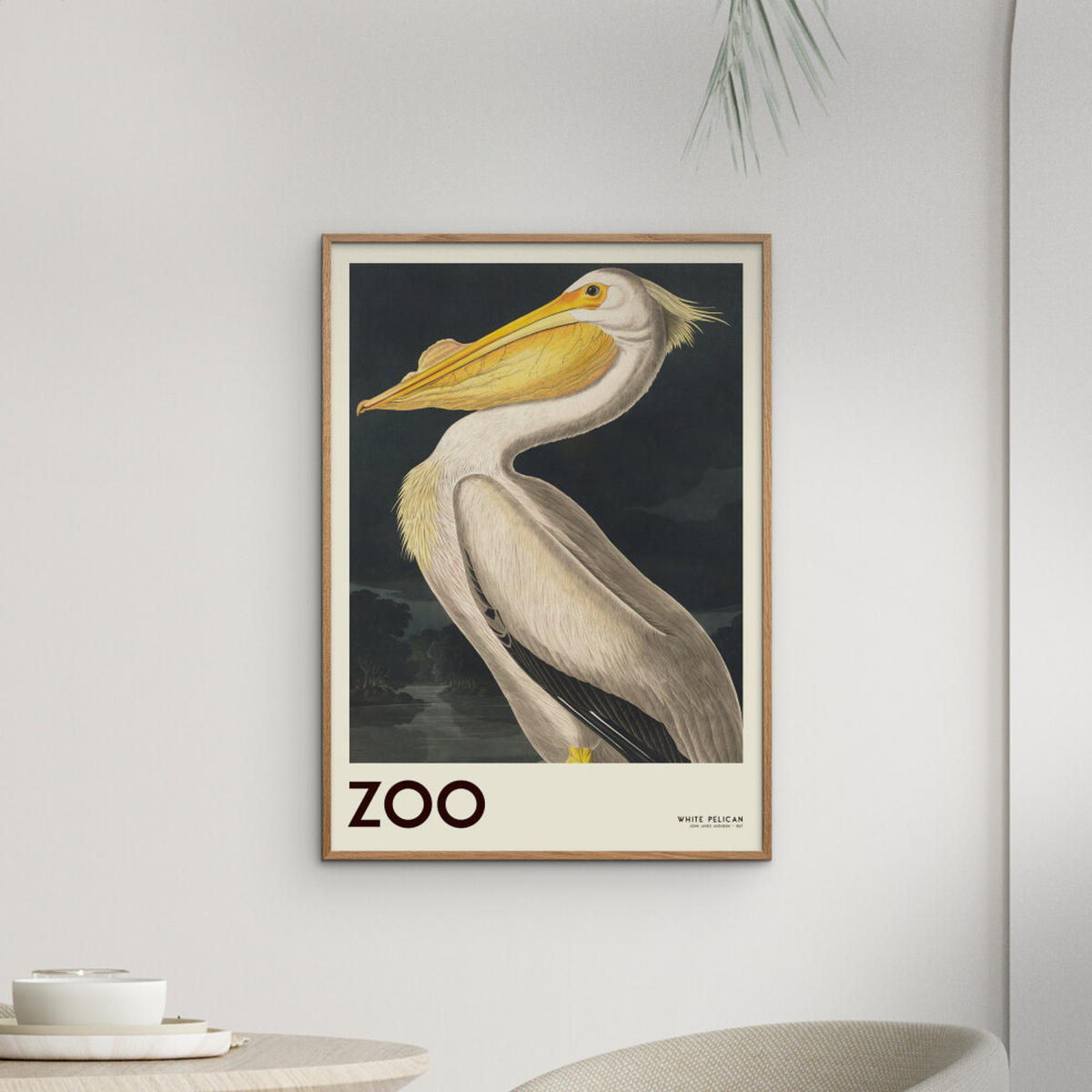 POSTER A.P. Atelier - The Zoo Collection — White Pelican — Edt. 001 - Weiß, Papier (50/70/0.1cm) - Poster&Frame