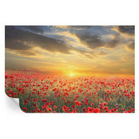 FOTOTAPETE 104x70 cm - Mohnfeld - Rot, Textil (104/70cm) - Wallfluent