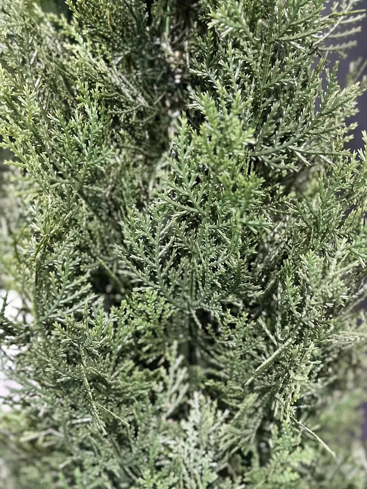 KUNSTBAUM Künstliche Grüne Zeder - Nathalie 180 cm, UV- beständig - Grün, Kunststoff (180cm) - aplanta