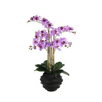 KÜNSTLICHE Orchidee - Lien 67 cm - Lila, Kunststoff (66cm) - aplanta