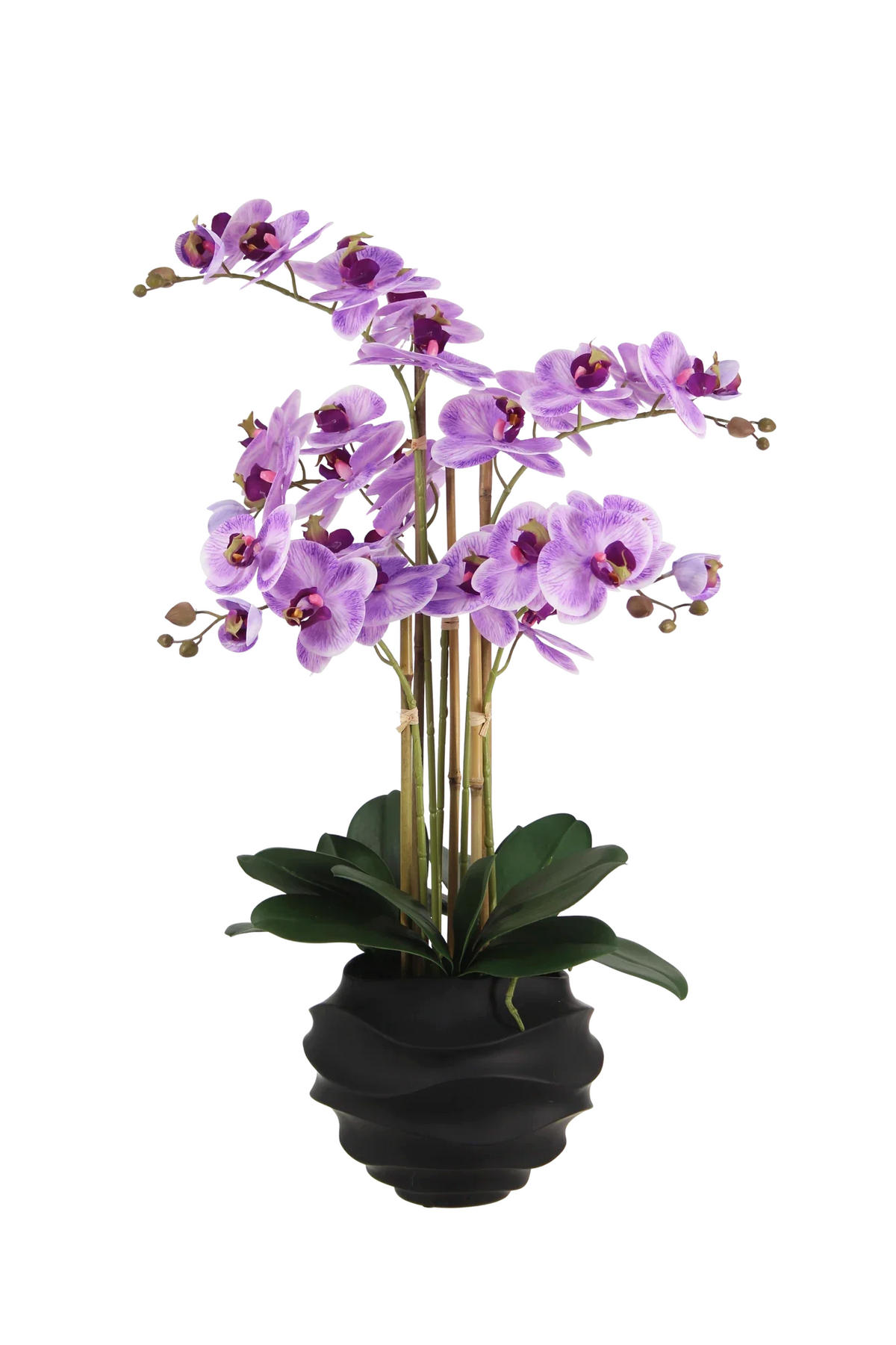 KÜNSTLICHE Orchidee - Lien 67 cm - Lila, Kunststoff (66cm) - aplanta