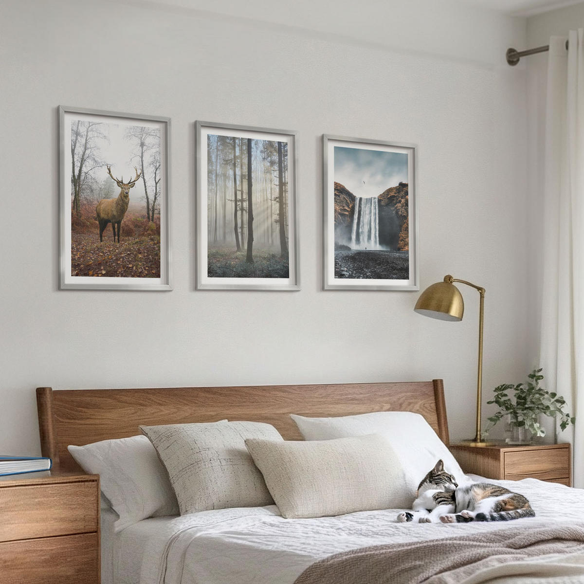 BILDER SET 3er Set - 40x60 cm Silberner Rahmen - Waldlandschaften, wilde Natur - Silberfarben, Kunststoff (40/60cm) - TULUP