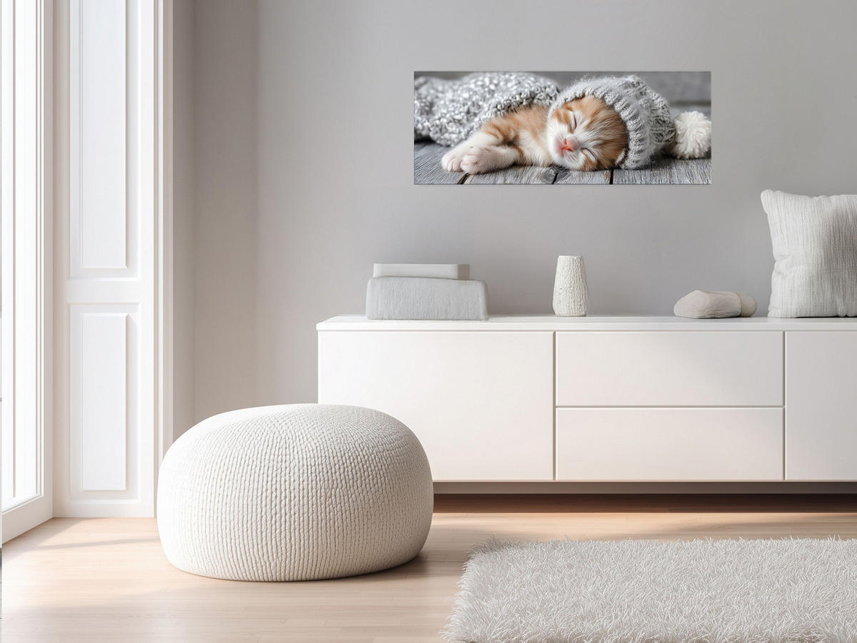 GLASBILD 30x80 cm Katze beige - Beige, Glas (80/30cm) - artissimo