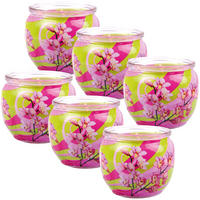 DUFTKERZEN Glas 6er-Pack Blütenzauber - Rosa, Naturmaterialien (7/6cm)