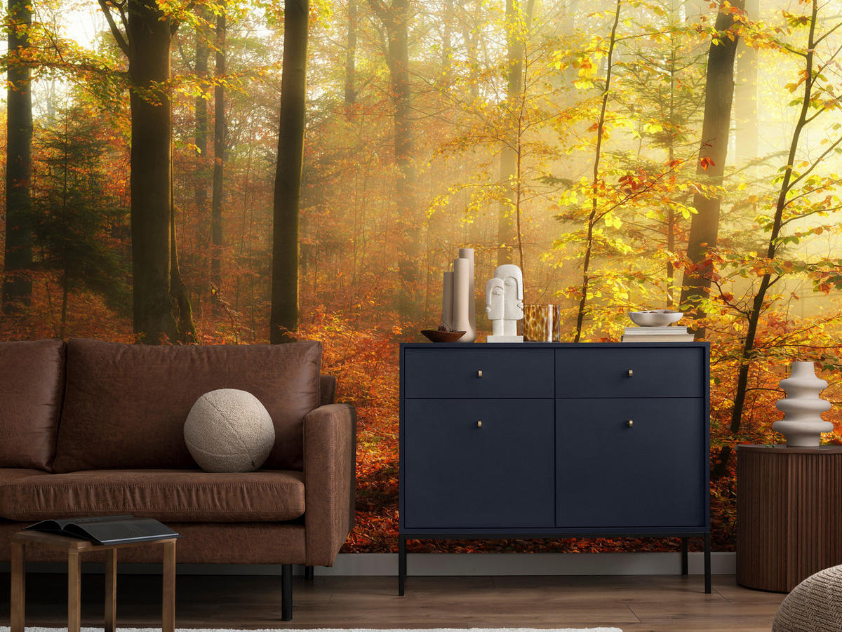 FOTOTAPETE für Wohnzimmer Herbstnebel Laubwald Bäume 350x256 - Gelb/Rot, Papier (350/256cm) - Muralo