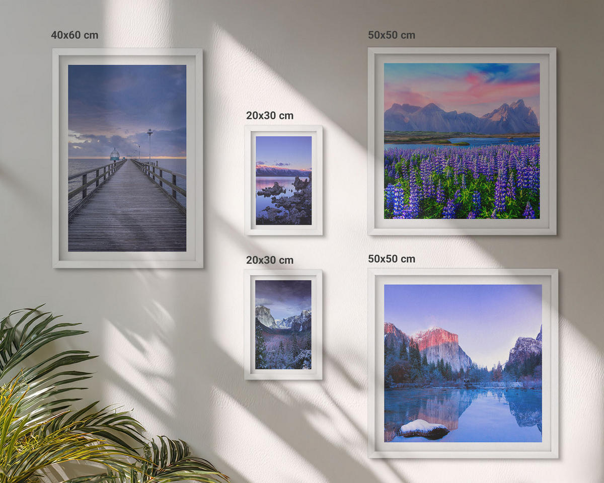 BILDER SET 5er Set - 50x50 cm & 20x30 cm & 40x60 cm Weißer Rahmen - Berglandschaften, Wasser, Blumenfeld - Weiß, Kunststoff (40/60cm) - TULUP
