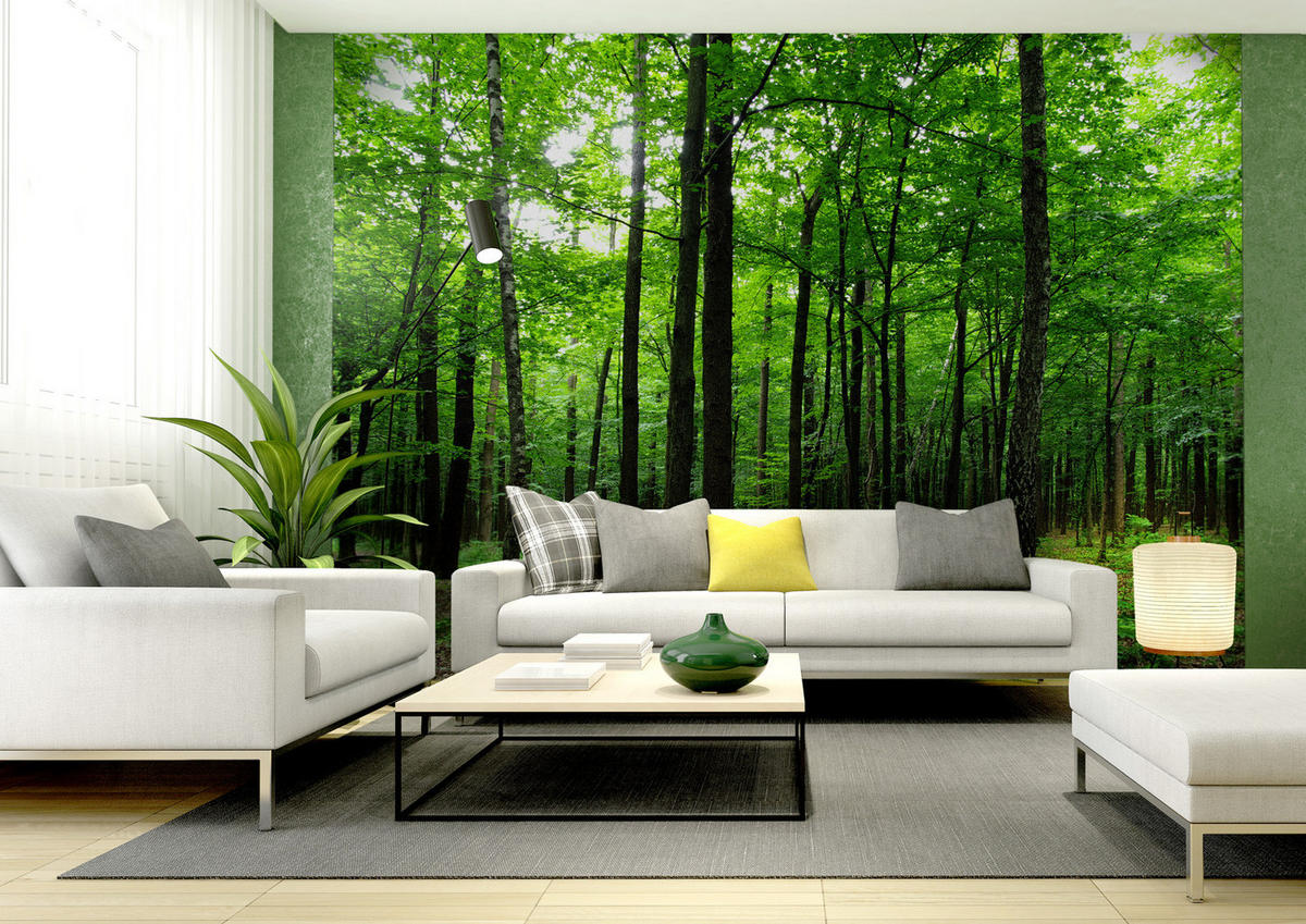 FOTOTAPETE bewaldete Landschaft 375 x 270 cm - Grün, Papier (375/270cm) - Sanders & Sanders